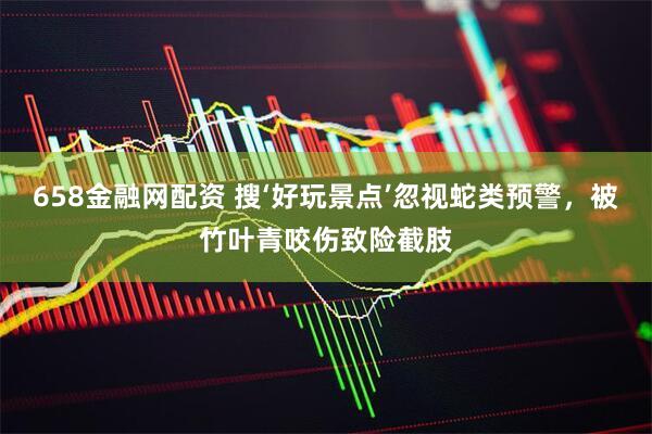 658金融网配资 搜‘好玩景点’忽视蛇类预警，被竹叶青咬伤致险截肢