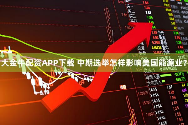 大金牛配资APP下载 中期选举怎样影响美国能源业？