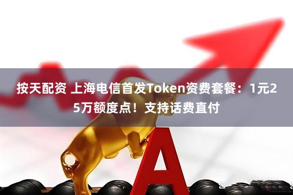 按天配资 上海电信首发Token资费套餐：1元25万额度点！支持话费直付